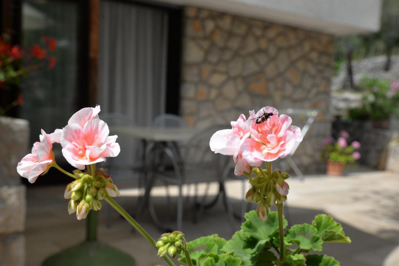Apartments Palma & Pino Đảo Đảo Cres Ngoại thất bức ảnh