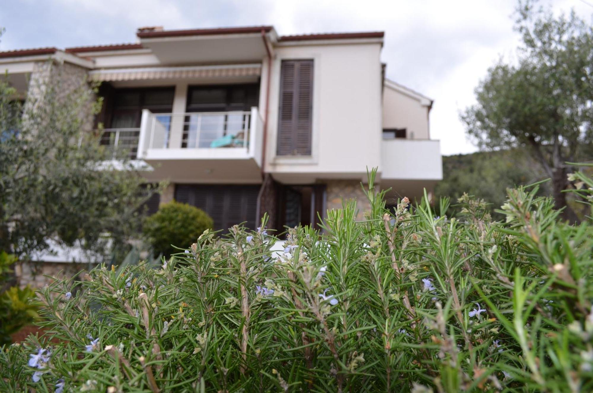 Apartments Palma & Pino Đảo Đảo Cres Ngoại thất bức ảnh